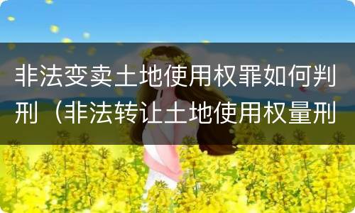 非法变卖土地使用权罪如何判刑（非法转让土地使用权量刑）
