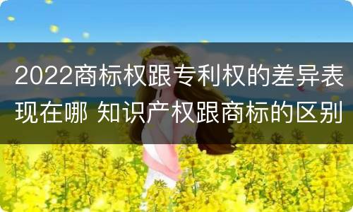 2022商标权跟专利权的差异表现在哪 知识产权跟商标的区别