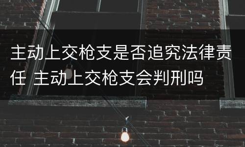 主动上交枪支是否追究法律责任 主动上交枪支会判刑吗