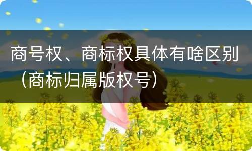 商号权、商标权具体有啥区别（商标归属版权号）