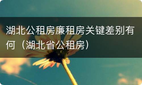 湖北公租房廉租房关键差别有何（湖北省公租房）