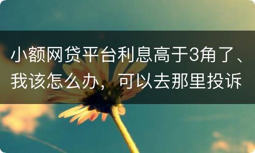 小额网贷平台利息高于3角了、我该怎么办，可以去那里投诉他们