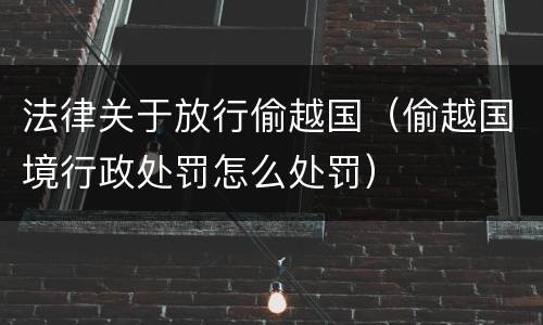 法律关于放行偷越国（偷越国境行政处罚怎么处罚）