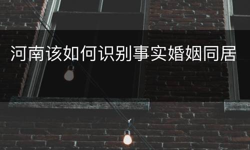 河南该如何识别事实婚姻同居