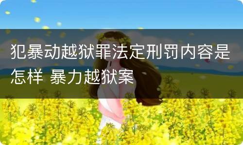 犯暴动越狱罪法定刑罚内容是怎样 暴力越狱案