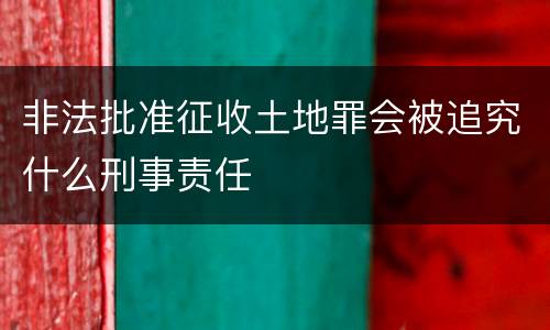 非法批准征收土地罪会被追究什么刑事责任