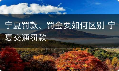 宁夏罚款、罚金要如何区别 宁夏交通罚款