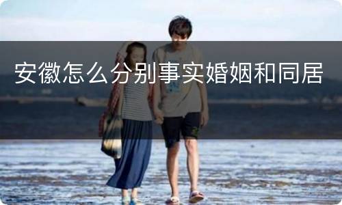 安徽怎么分别事实婚姻和同居