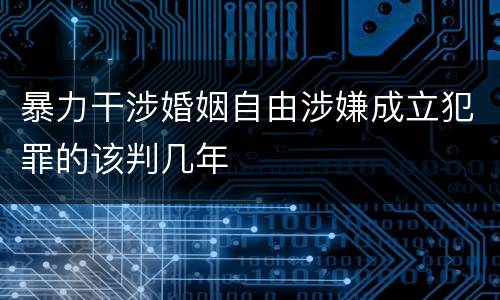 暴力干涉婚姻自由涉嫌成立犯罪的该判几年