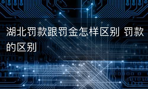 湖北罚款跟罚金怎样区别 罚款的区别