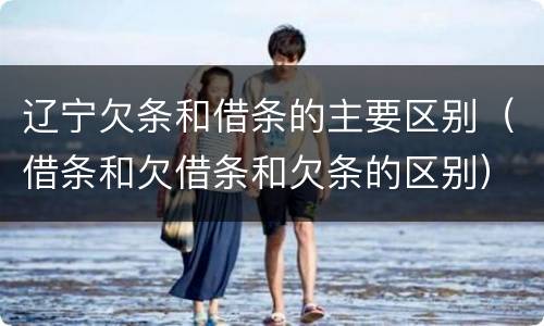 辽宁欠条和借条的主要区别（借条和欠借条和欠条的区别）