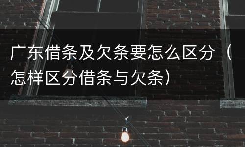 广东借条及欠条要怎么区分（怎样区分借条与欠条）
