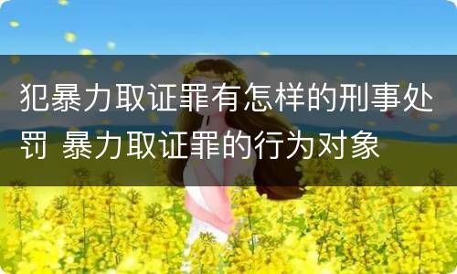 犯暴力取证罪有怎样的刑事处罚 暴力取证罪的行为对象