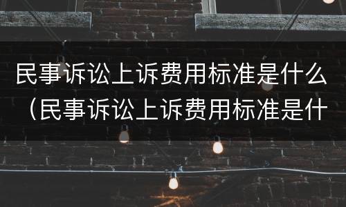 民事诉讼上诉费用标准是什么（民事诉讼上诉费用标准是什么样的）