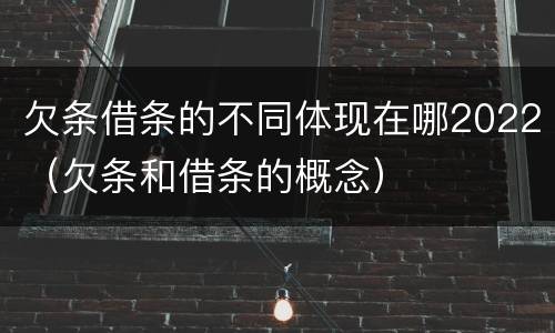 欠条借条的不同体现在哪2022（欠条和借条的概念）