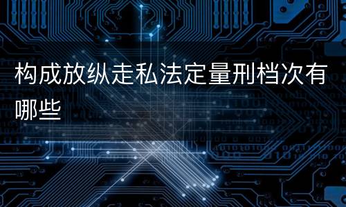 构成放纵走私法定量刑档次有哪些