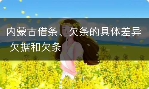 内蒙古借条、欠条的具体差异 欠据和欠条