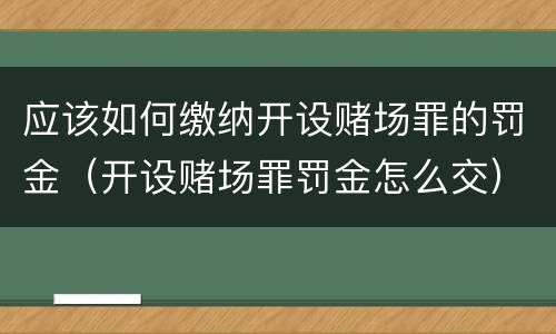 应该如何缴纳开设赌场罪的罚金（开设赌场罪罚金怎么交）