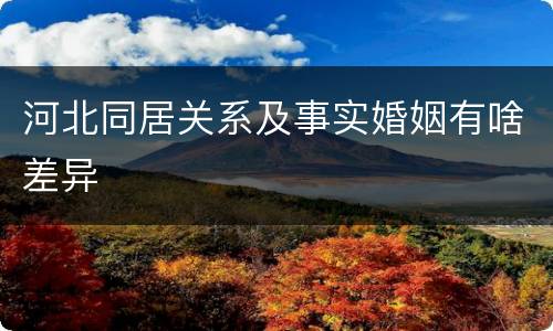 河北同居关系及事实婚姻有啥差异