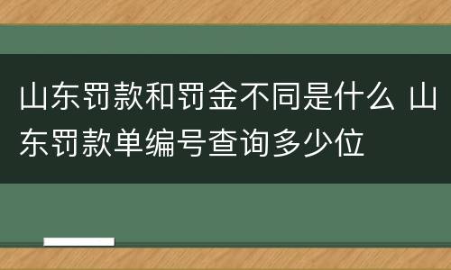 山东罚款和罚金不同是什么 山东罚款单编号查询多少位