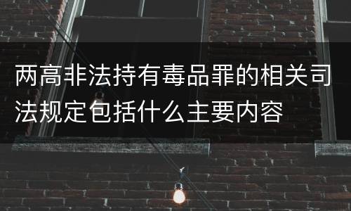 两高非法持有毒品罪的相关司法规定包括什么主要内容