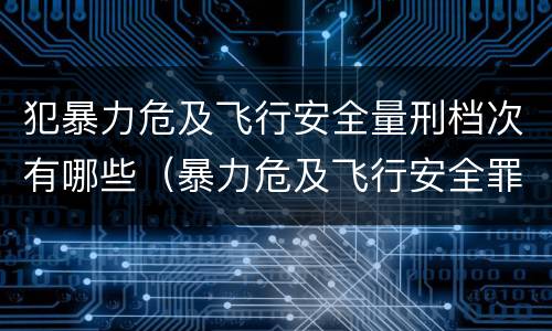 犯暴力危及飞行安全量刑档次有哪些（暴力危及飞行安全罪是危险犯吗）