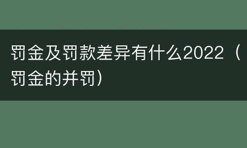 罚金及罚款差异有什么2022（罚金的并罚）