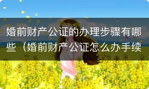婚前财产公证的办理步骤有哪些（婚前财产公证怎么办手续）
