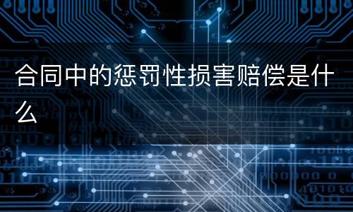 合同中的惩罚性损害赔偿是什么