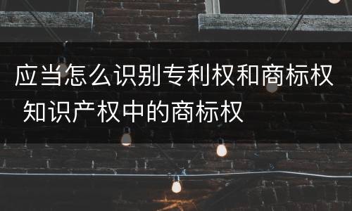 应当怎么识别专利权和商标权 知识产权中的商标权