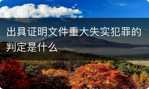 出具证明文件重大失实犯罪的判定是什么