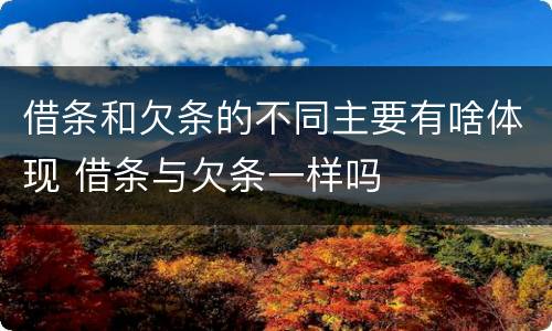 借条和欠条的不同主要有啥体现 借条与欠条一样吗