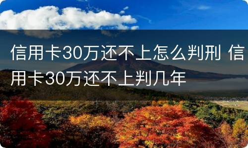 信用卡30万还不上怎么判刑 信用卡30万还不上判几年