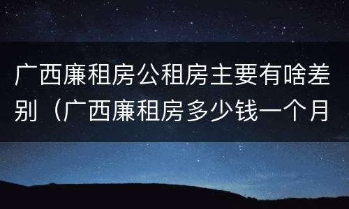 广西廉租房公租房主要有啥差别（广西廉租房多少钱一个月）