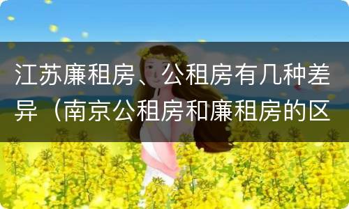 江苏廉租房、公租房有几种差异（南京公租房和廉租房的区别）
