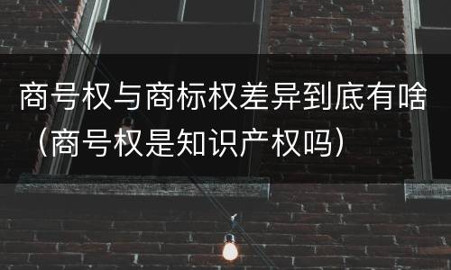商号权与商标权差异到底有啥（商号权是知识产权吗）