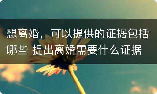 想离婚，可以提供的证据包括哪些 提出离婚需要什么证据