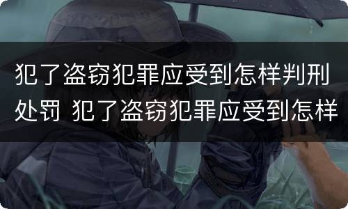 犯了盗窃犯罪应受到怎样判刑处罚 犯了盗窃犯罪应受到怎样判刑处罚呢