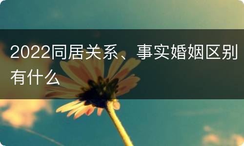 2022同居关系、事实婚姻区别有什么