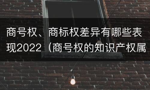 商号权、商标权差异有哪些表现2022（商号权的知识产权属性）