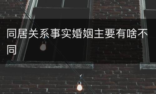同居关系事实婚姻主要有啥不同