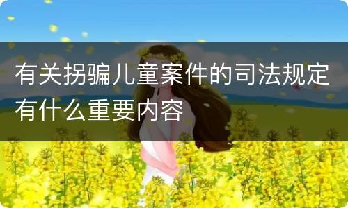 有关拐骗儿童案件的司法规定有什么重要内容