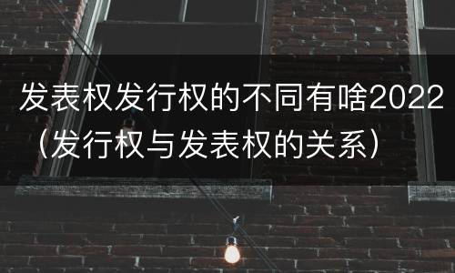 发表权发行权的不同有啥2022（发行权与发表权的关系）