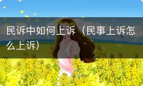 民诉中如何上诉（民事上诉怎么上诉）