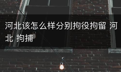 河北该怎么样分别拘役拘留 河北 拘捕