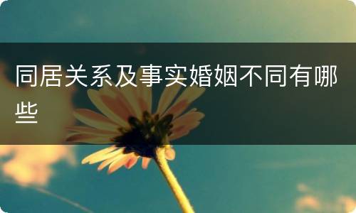 同居关系及事实婚姻不同有哪些