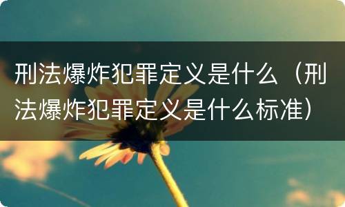 刑法爆炸犯罪定义是什么（刑法爆炸犯罪定义是什么标准）