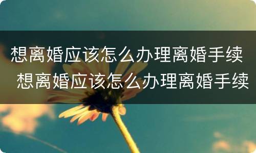 想离婚应该怎么办理离婚手续 想离婚应该怎么办理离婚手续流程
