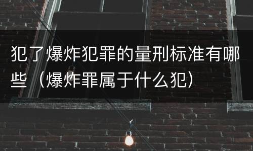 犯了爆炸犯罪的量刑标准有哪些（爆炸罪属于什么犯）