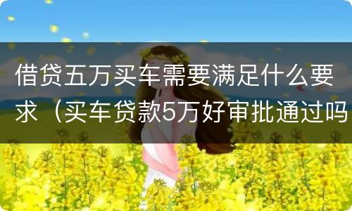 借贷五万买车需要满足什么要求（买车贷款5万好审批通过吗）